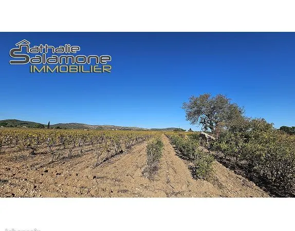 Terrain 5001 m² FRONTIGNAN