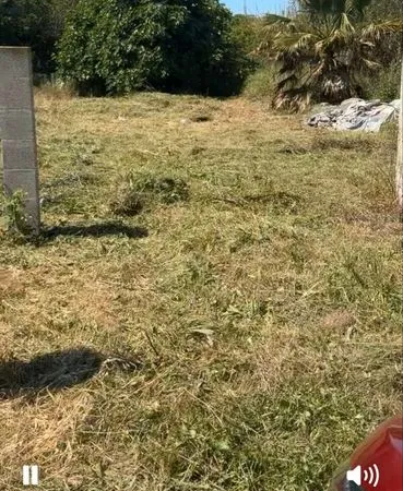 Location terrain