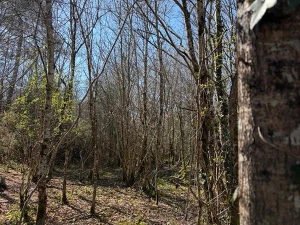 Terrain en individuel 2800 m²
