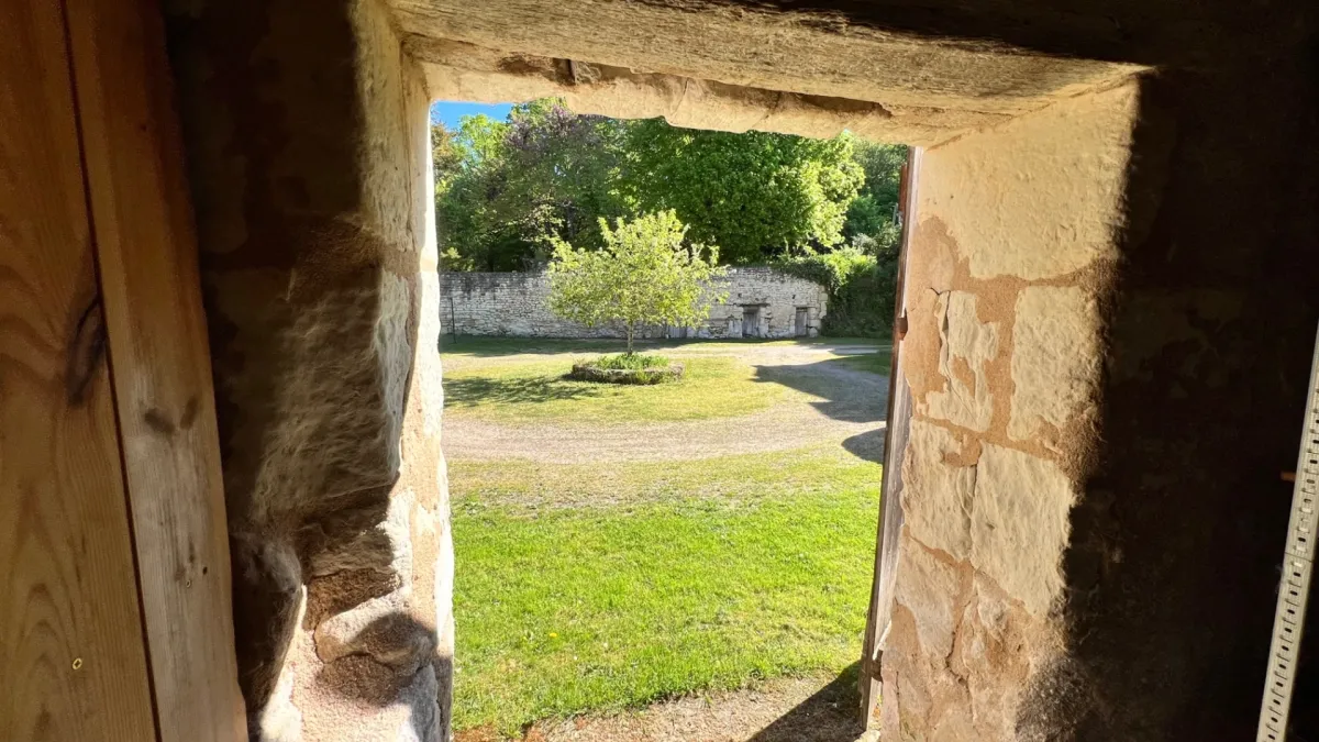 Photo 19