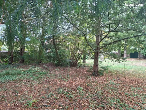 Terrain Centre ville 928 M2 Constructible Arboré