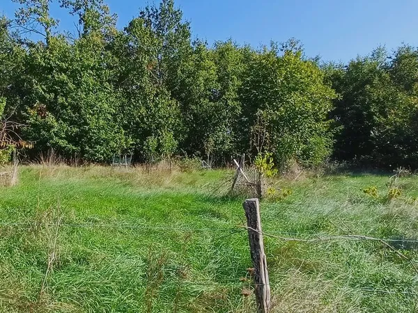 Terrain composé de taillis, bois et jeune verger, non constructible