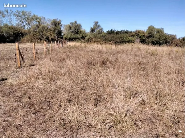 Parcelle de 800m borné pour potager ou autre a1kms5 delà mer et du centre-ville des sables d'olonne