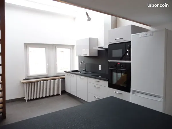 Bel appartement entièrement rénové de 110m2 en plein centre ville
