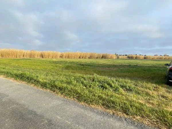 Terrain agricole