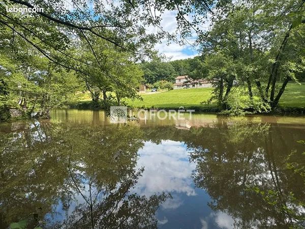 Propriété 9 pièces 175 m²