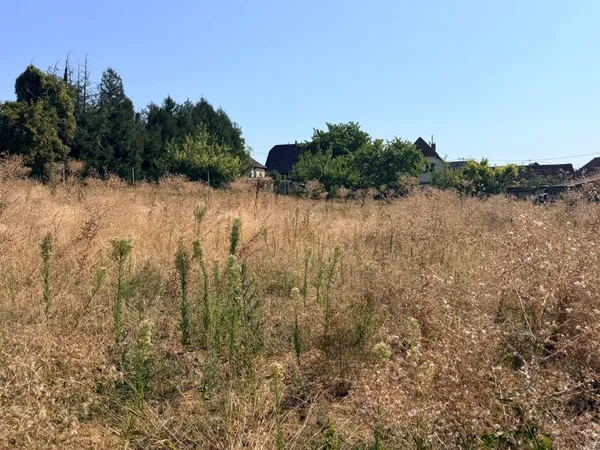 Terrain 610 m²
