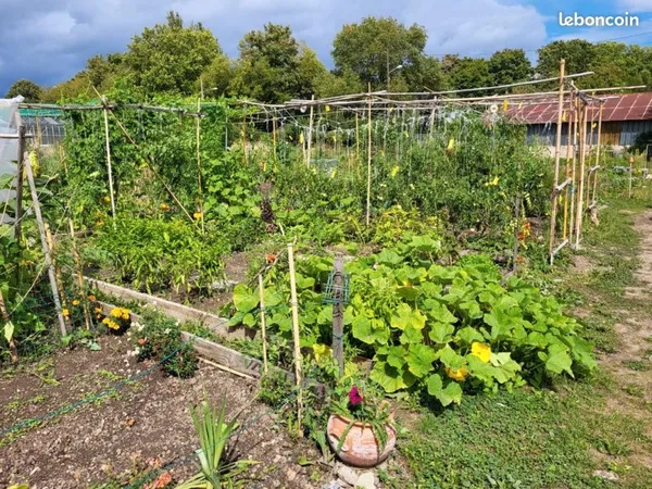 Parcelles de terrain potager