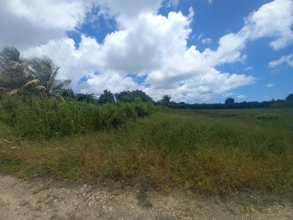 TERRAIN- Saint-François