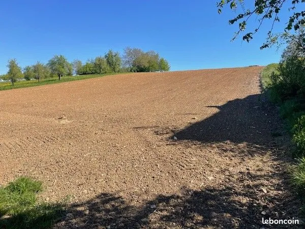 Terrain à bâtir 28 ares sur la Commune de Westhouse - Marmoutier