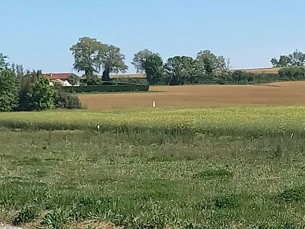Immobilier terrain constructibles viabilises