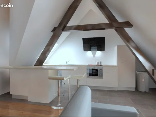 Grand 2 Pièces 50 M2 Tours centre