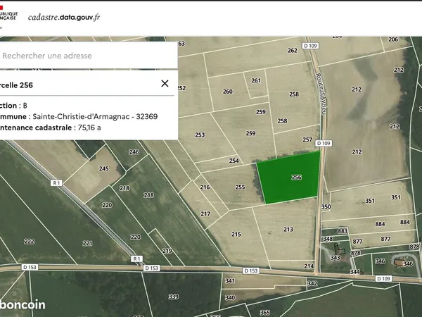 Terrain agricole avec peupliers