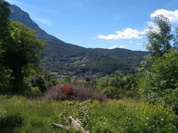 Terrain constructible