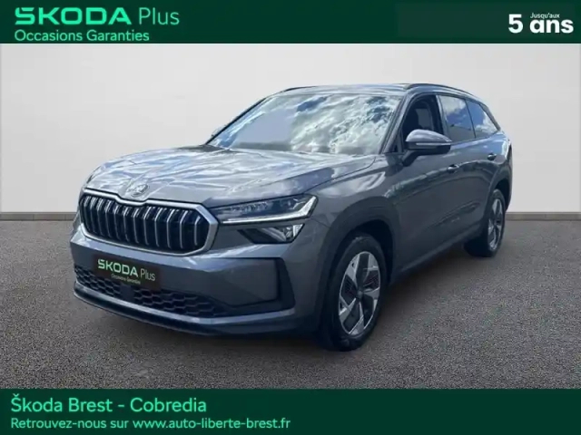 Skoda Kodiaq 2.0 tdi 150ch scr selection dsg7 7 places