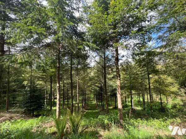 Bien agricole 38444 m²