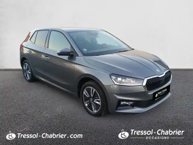 Skoda Fabia 1.5 tsi 150 ch dsg7 style — photo 29