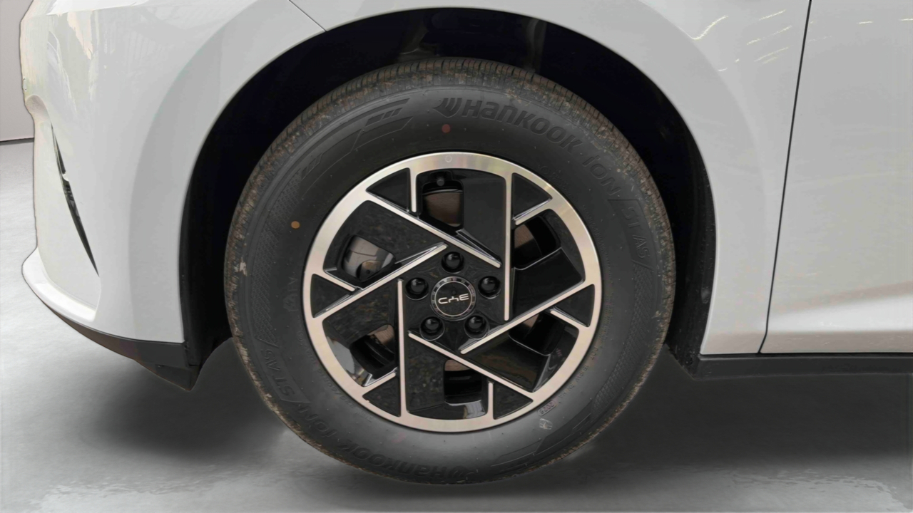 BYD Dolphin G 1.5 DM-i PHEV 212 ch — photo 14
