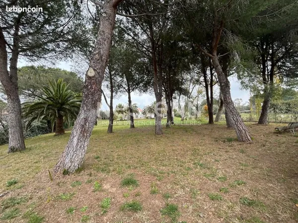 Terrain 2100 m² CABESTANY