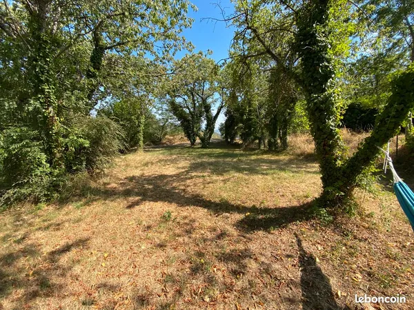 Superbe terrain arboré