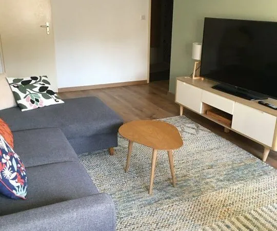 Appartement de 52m2 à louer sur Nancy