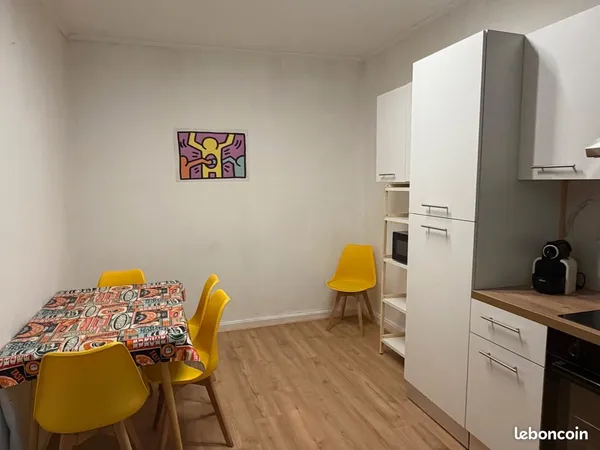 Appartement T2 meublé de 47m² entièrement rénové - Plein centre-ville / Proche Gare et toutes les co