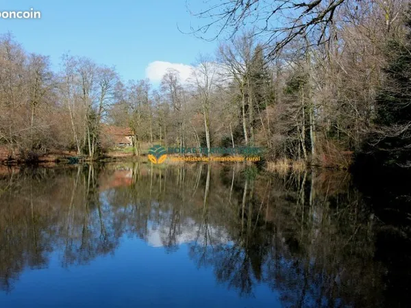 Propriété 11 pièces 314 m²