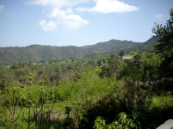 Terrain plat avec vue imprenable à Saint Paul Lacoste 30480