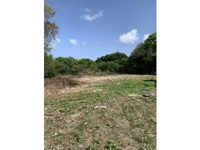 Sur un terrain de 800m² construisez votre maison Villarchipel
