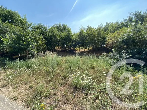 Terrain 487 m²
