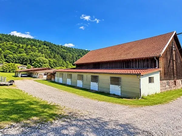 FRANCE - À SOULTZEREN (68) ? CORPS DE FERME