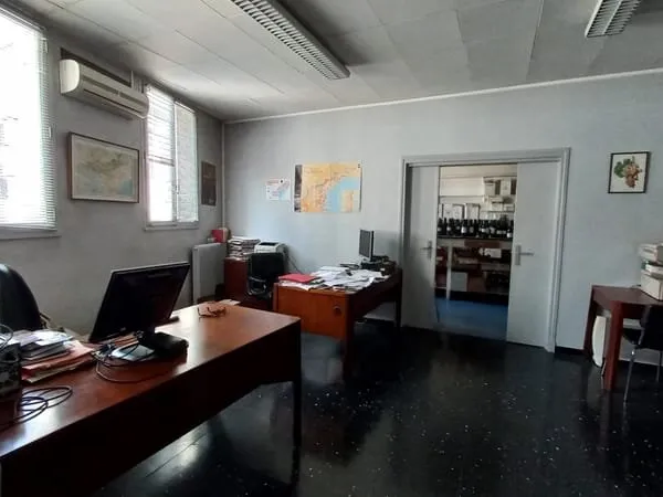 Local professionnel / bureau + garages