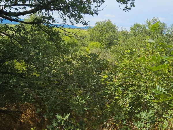 Terrain de 10800 m² non constructible à Maclas (42) - Vente ou échange