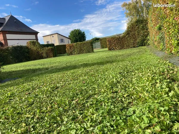 Terrain constructible