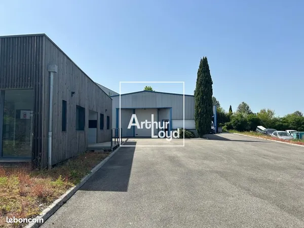 Local bureaux 665 m²