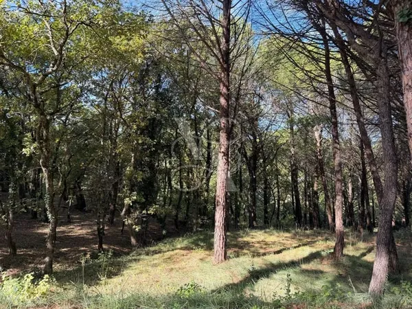 Terrain constructible de plus de 1 800 m² à Rochegude - Cadre naturel et boisé