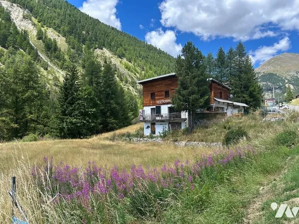 Terrain Vente Arvieux 475000€