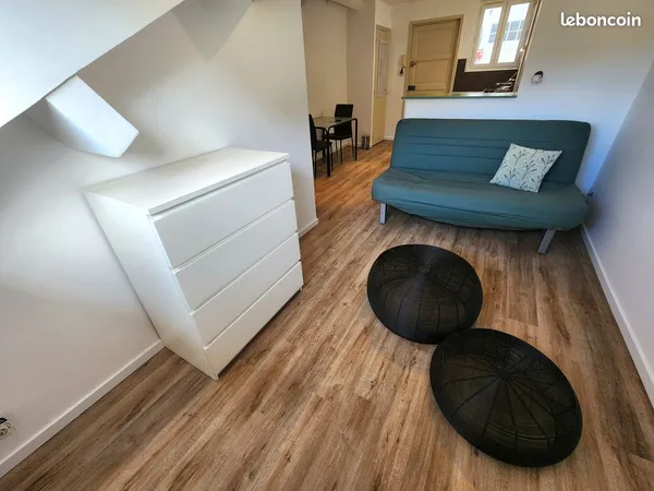 Studio 20 m² - centre-ville - vendu loué - 8,3 % brut