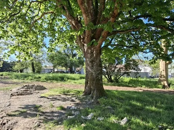 Terrain 1000 m²
