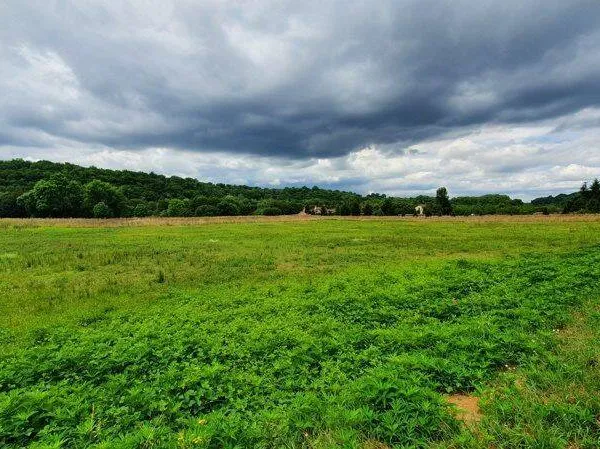 Terrain constructible 25343 m²