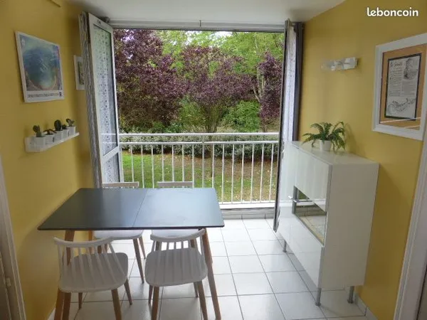A louer à l'année Charmant T1 bis quartier Tanchet