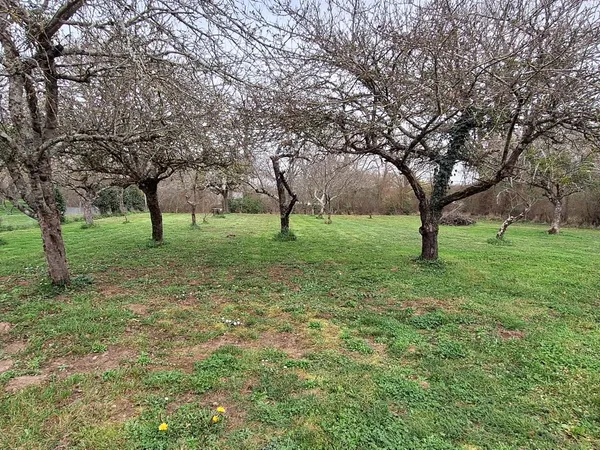 Terrain 1030 m²