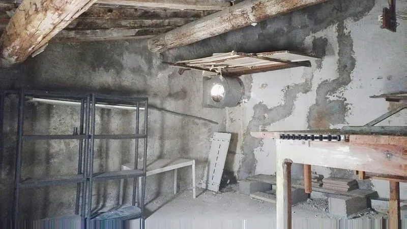 Photo 5