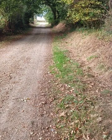Vente terrain boisé