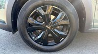 Dacia Sandero 1.0 ECO-G 100ch Stepway Extreme + — photo 11