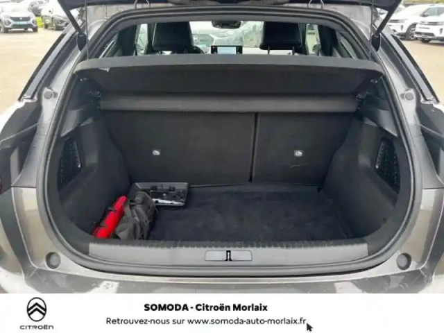 Ds Ds 3 crossback bluehdi 130ch performance line + automatique 126g — photo 6