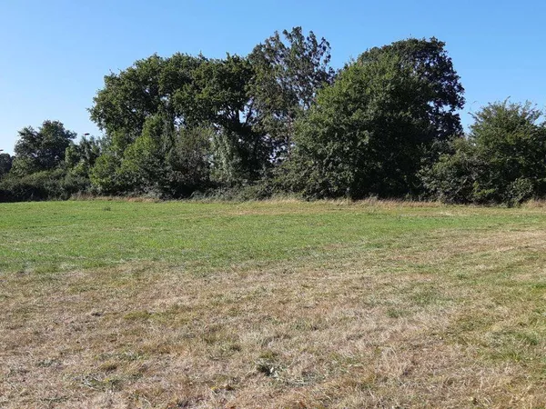 Terrain 470 m²