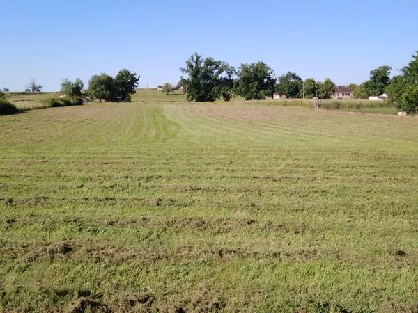 Terrain constructible à Diou (03)