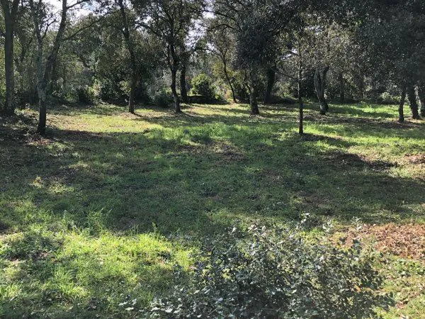 Location terrain viabilisé 1,5 hectare