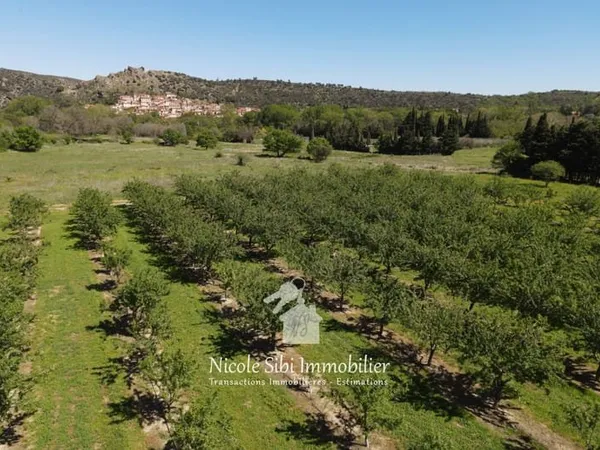 Vente terrain agricole